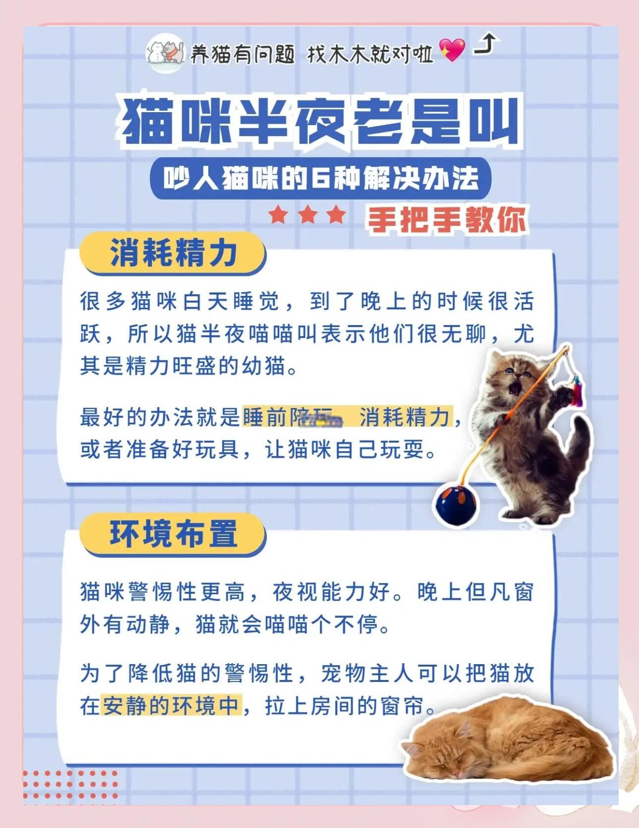 猫咪早上5点多一直叫怎么办(猫咪早上五点开始一直叫是什么原因) 猫咪早上5点多一直叫怎么办(猫咪早上五点开始一直叫是什么原因)