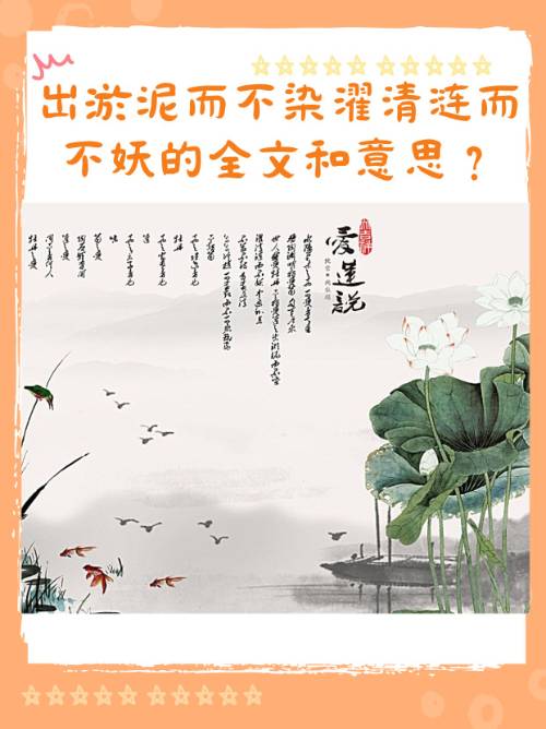 中初是什么意思(中初是什么意思网络) 中初是什么意思(中初是什么意思网络)