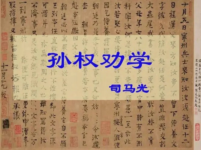 中初是什么意思(中初是什么意思网络) 中初是什么意思(中初是什么意思网络)