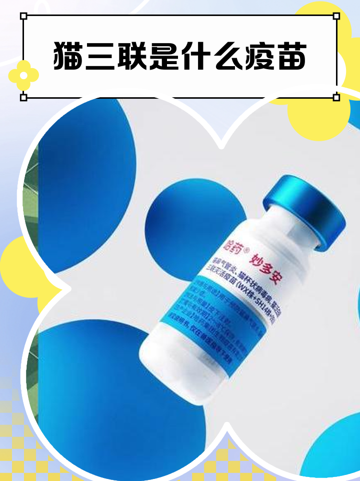猫瘟打什么针(猫瘟打什么针最有效)