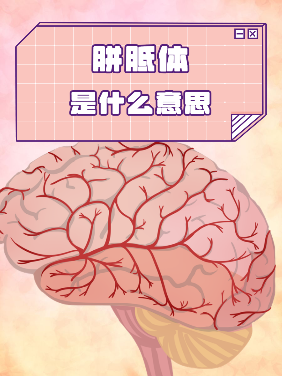 brain是什么意思(super brain是什么意思)