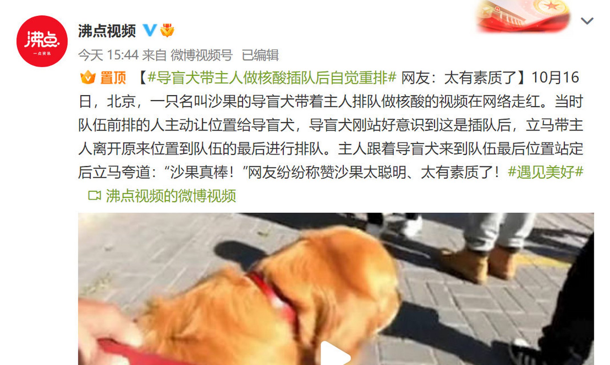 导盲犬怎么知道主人要去哪里(导盲犬怎么知道主人要去哪里了) 导盲犬怎么知道主人要去哪里(导盲犬怎么知道主人要去哪里了)