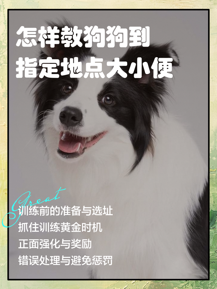 导盲犬怎么知道主人要去哪里(导盲犬怎么知道主人要去哪里了) 导盲犬怎么知道主人要去哪里(导盲犬怎么知道主人要去哪里了)