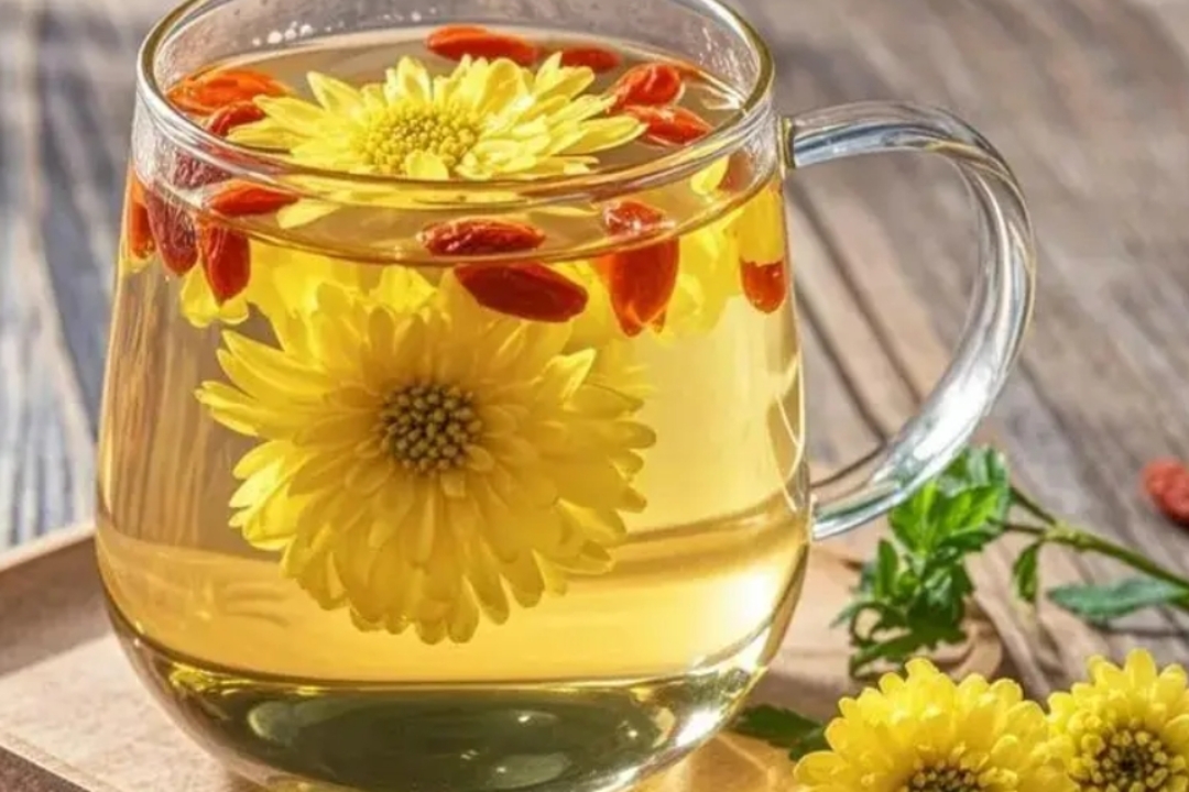 夏天喝菊花茶好不好(夏天喝菊花有什么好处和坏处) 夏天喝菊花茶好不好(夏天喝菊花有什么好处和坏处)