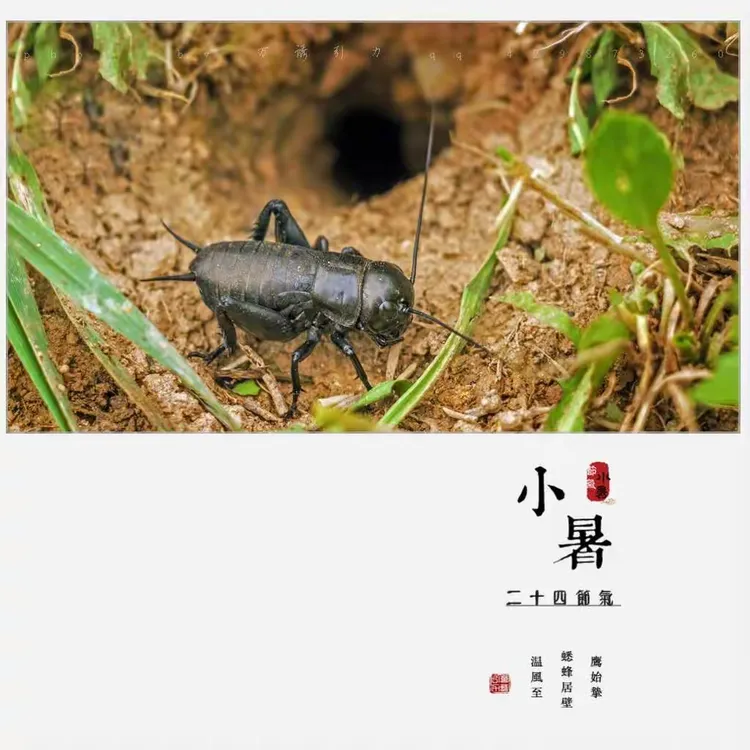 烈日炎炎什么意思(烈日炎炎什么意思?) 烈日炎炎什么意思(烈日炎炎什么意思?)