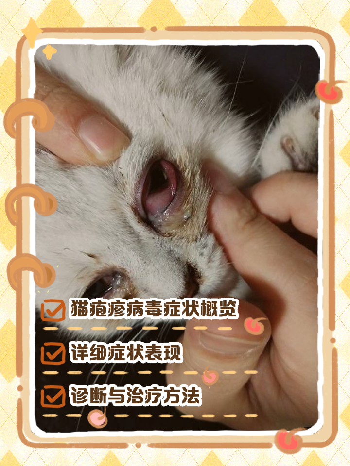 猫咪可以用氧氟沙星滴眼液吗(猫眼睛流脓一样的眼屎用什么药)