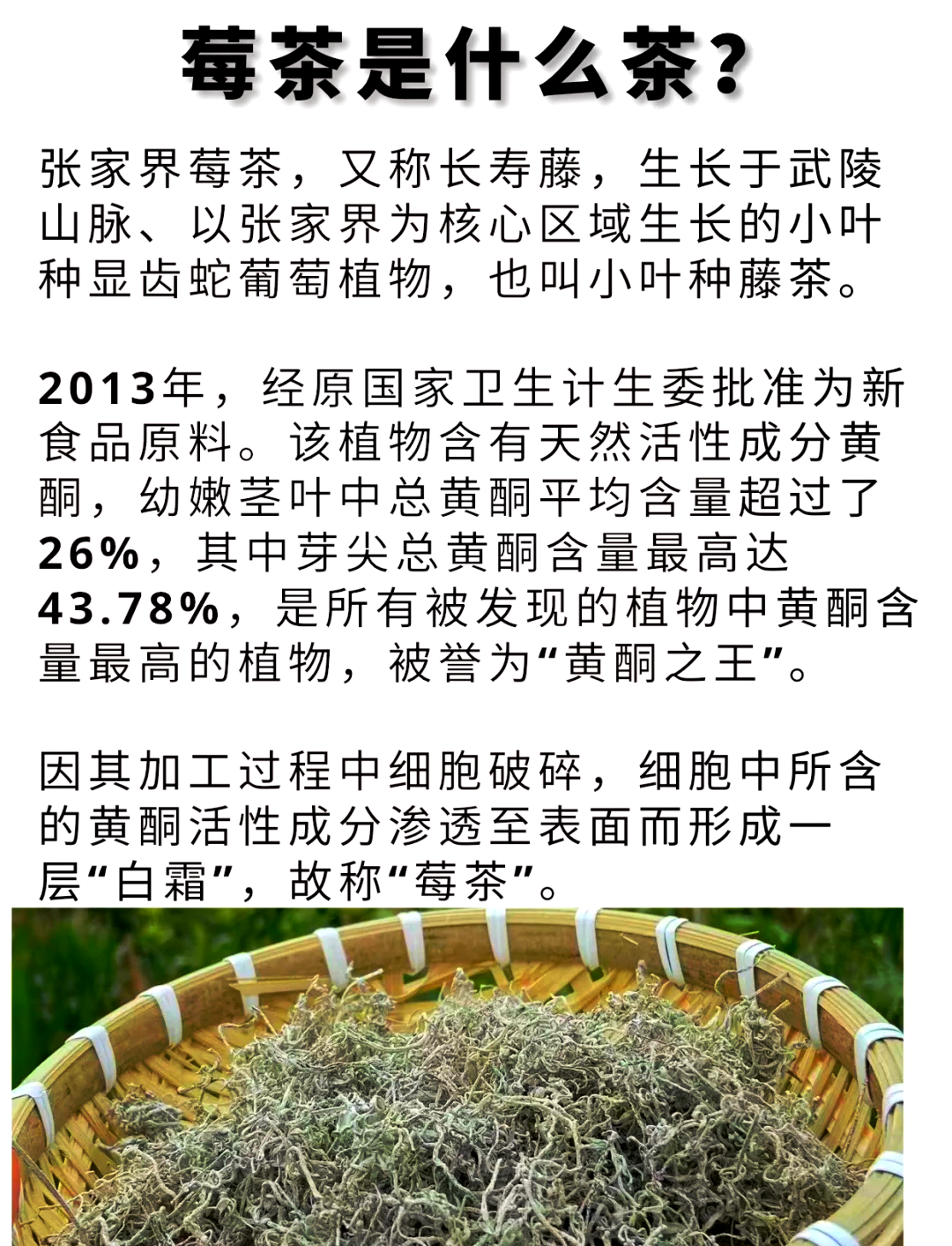 洋蓟茶的功效与作用禁忌(洋蓟茶的功效与作用禁忌是什么) 洋蓟茶的功效与作用禁忌(洋蓟茶的功效与作用禁忌是什么)