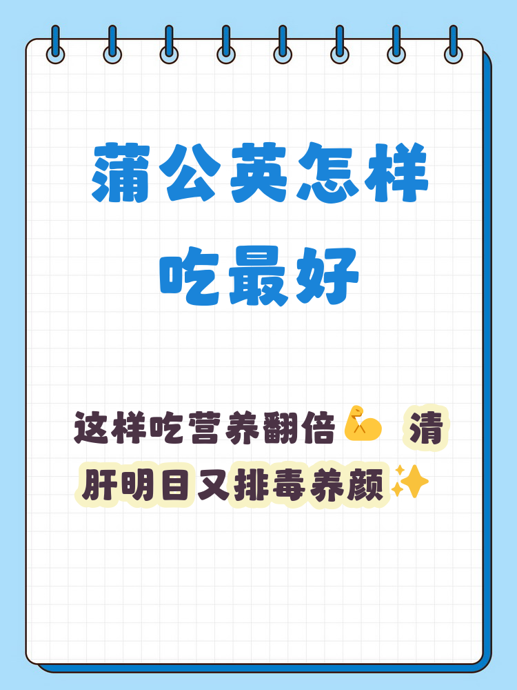 蒲公英养胃还是伤胃(三种人不宜喝蒲公英水)