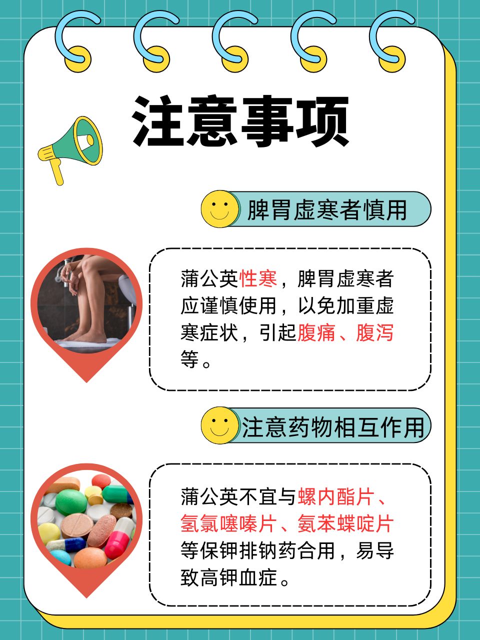 蒲公英养胃还是伤胃(三种人不宜喝蒲公英水)