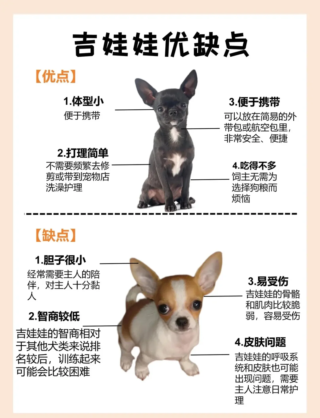 狗狗能吃核桃吗(狗狗能吃核桃吗?为什么说核桃对狗狗有风险?) 狗狗能吃核桃吗(狗狗能吃核桃吗?为什么说核桃对狗狗有风险?)