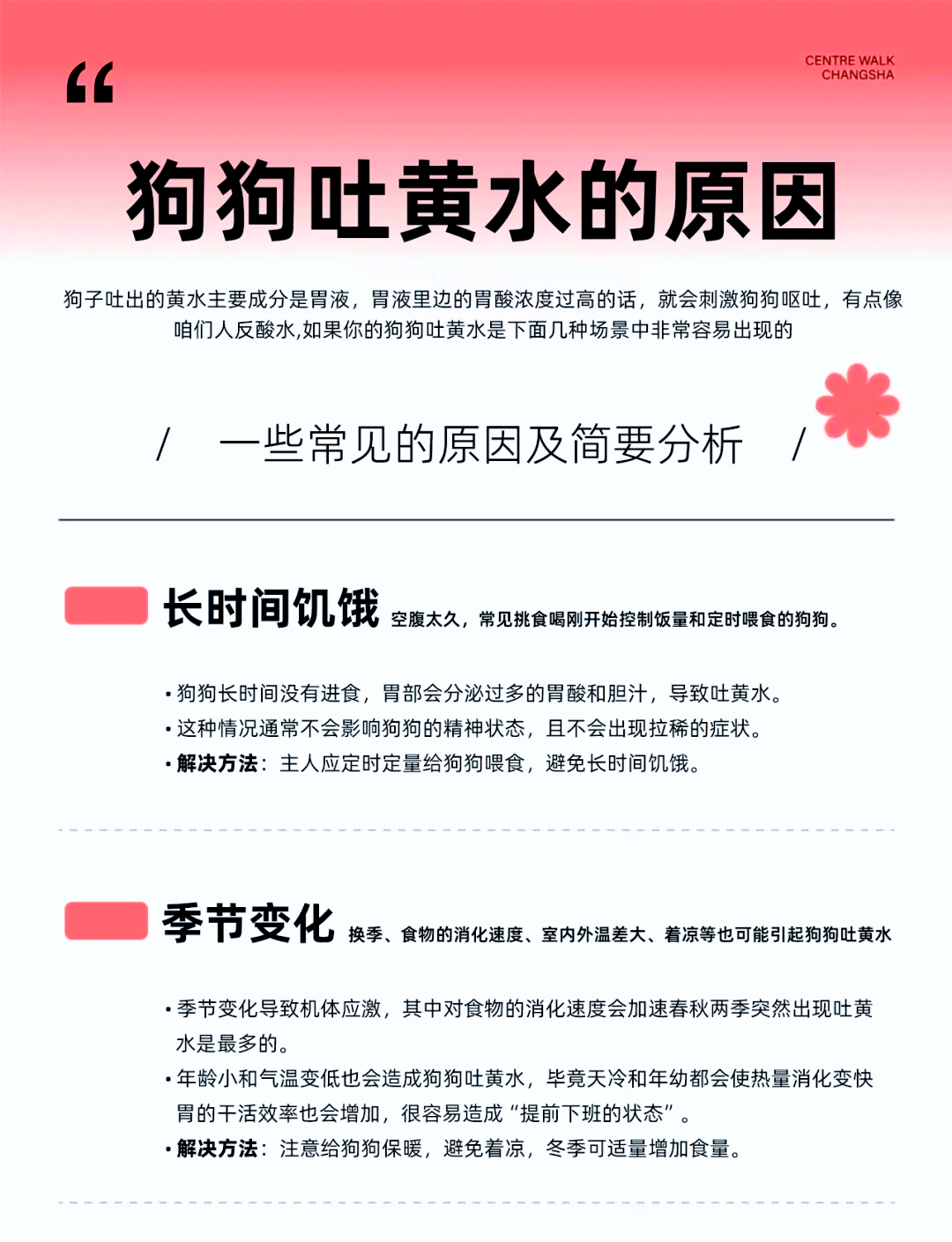 狗狗上吐下泻是怎么回事(狗狗上吐下泻最快解决方法) 狗狗上吐下泻是怎么回事(狗狗上吐下泻最快解决方法)