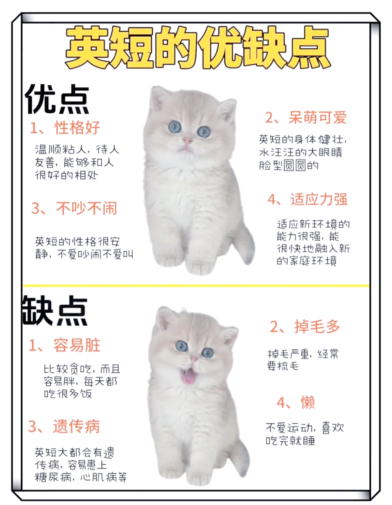 橘猫的优缺点(橘猫的优缺点有哪些) 橘猫的优缺点(橘猫的优缺点有哪些)