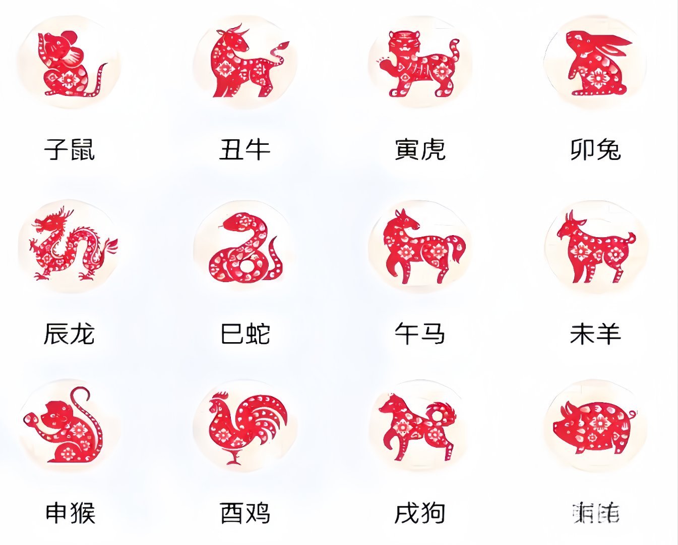 影子代表什么生肖(影子代表什么生肖最佳答案) 影子代表什么生肖(影子代表什么生肖最佳答案)