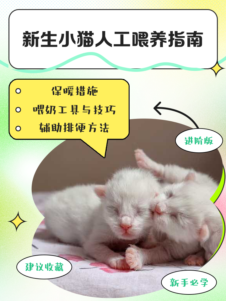 小猫能喝人喝的奶粉吗(小猫能喝人喝的奶粉吗视频) 小猫能喝人喝的奶粉吗(小猫能喝人喝的奶粉吗视频)