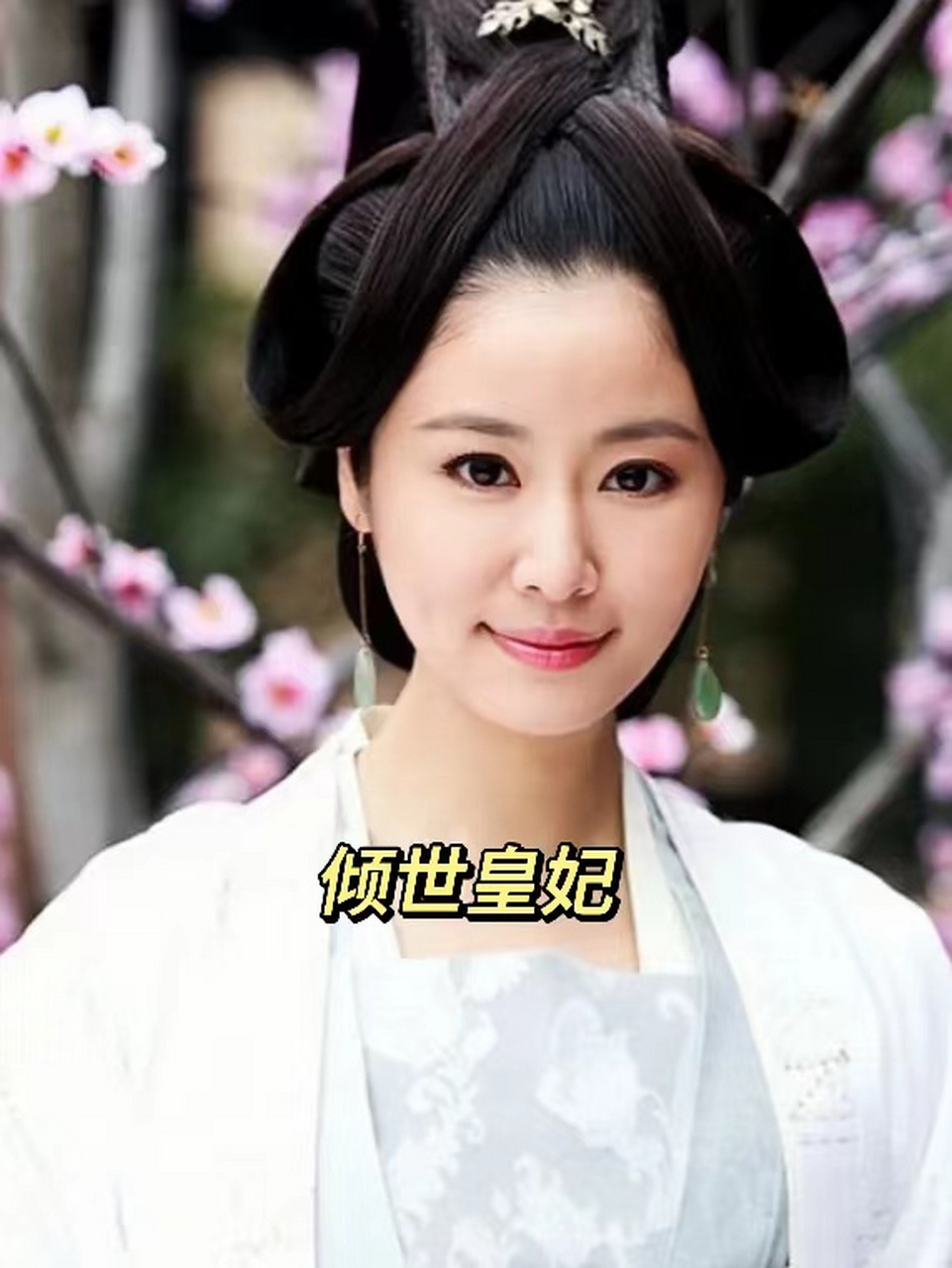 倾世皇妃剧情介绍(倾世皇妃电视剧大结局是什么)