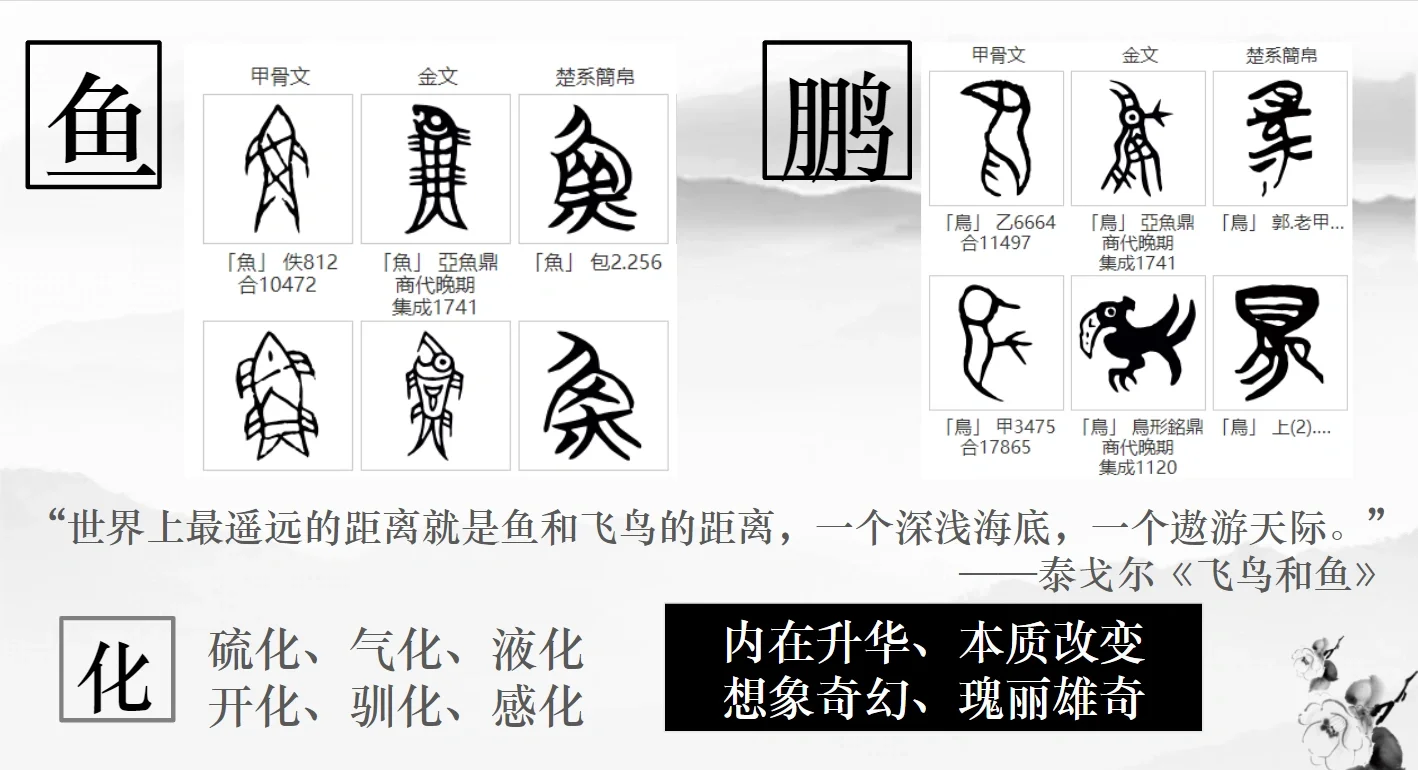 玥和什么字结合寓意好(玥和什么字结合寓意好一点)