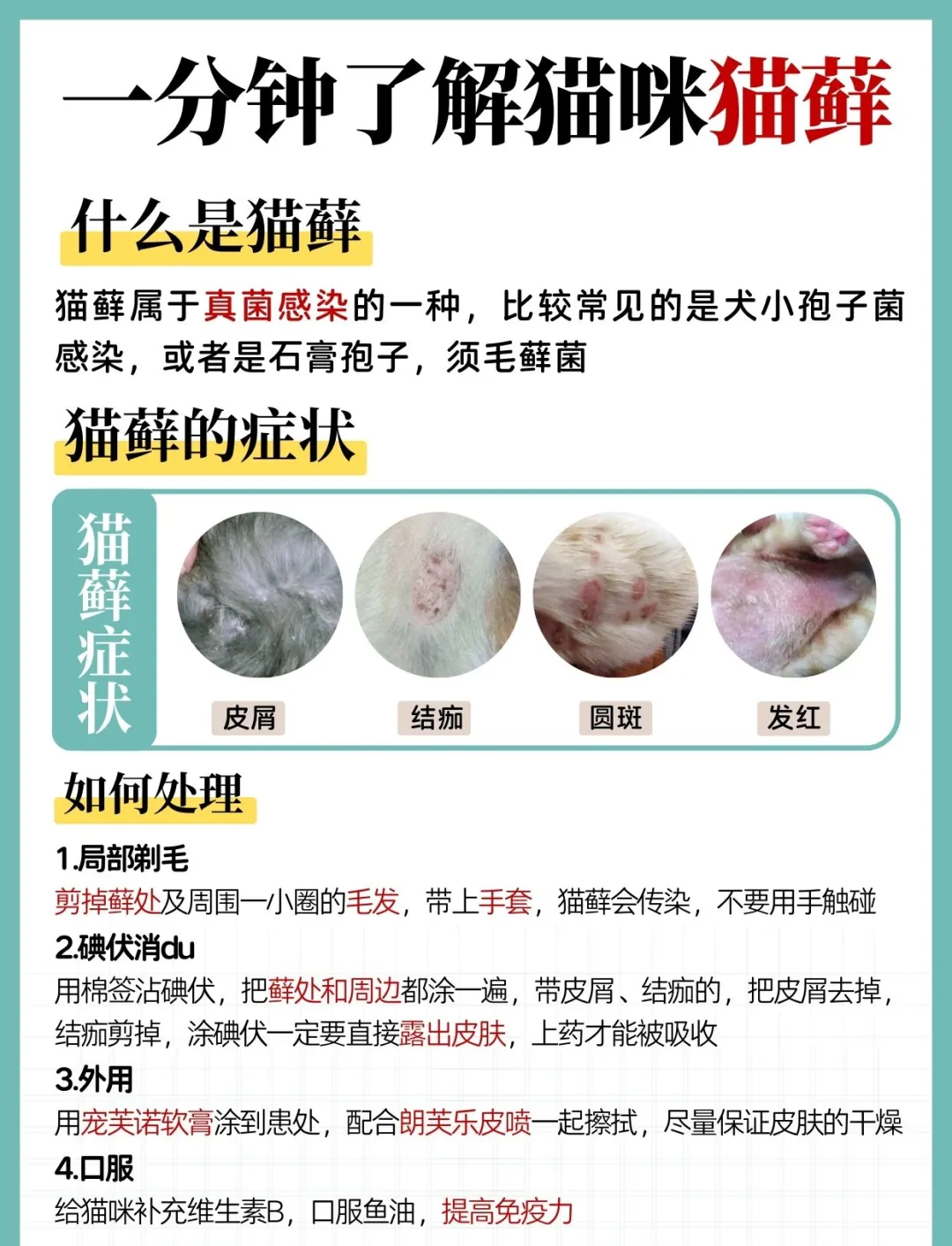 猫冠状病毒会自愈吗(猫咪冠状病毒治愈率高吗) 猫冠状病毒会自愈吗(猫咪冠状病毒治愈率高吗)