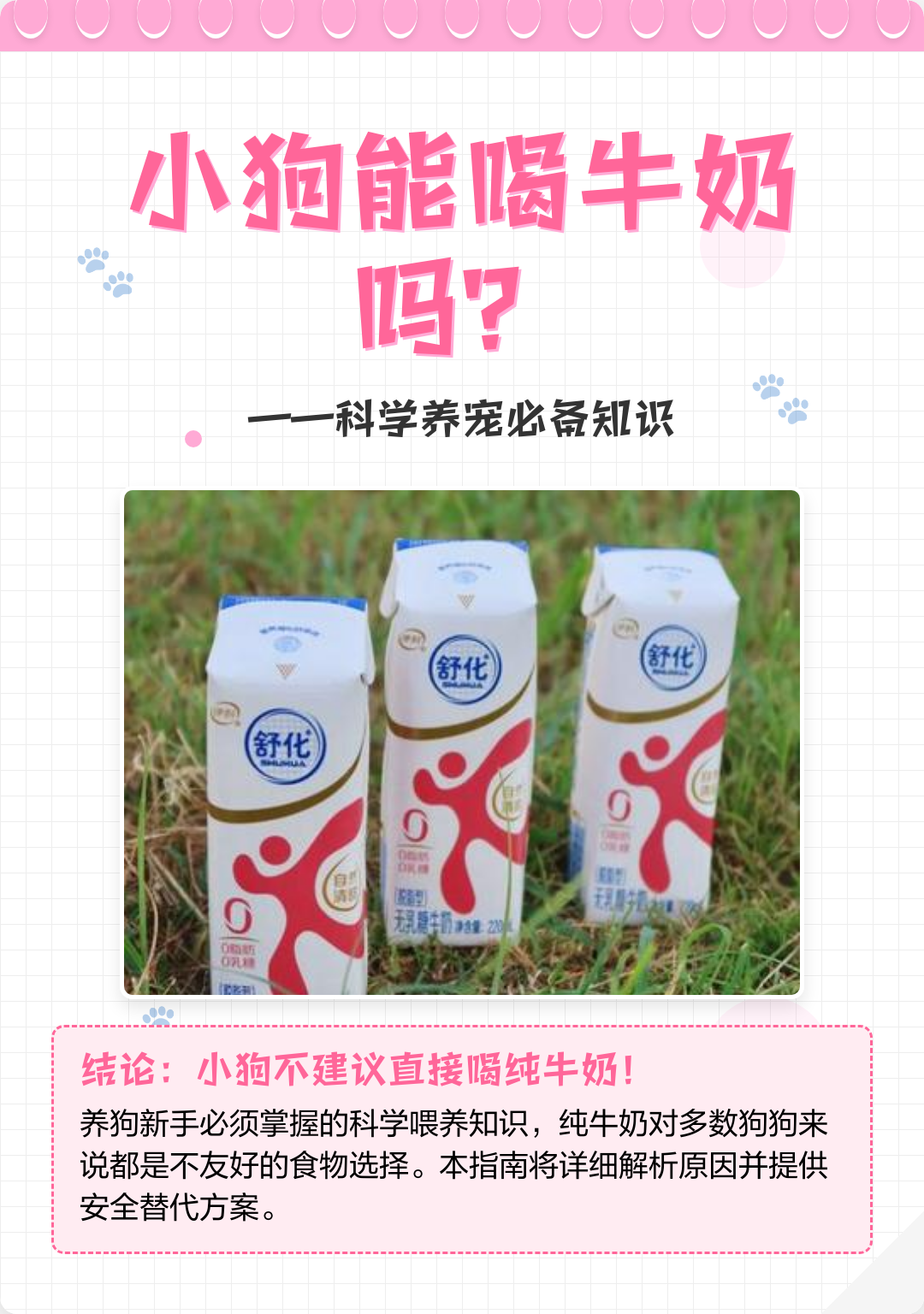 小狗喝纯牛奶可以吗(小奶狗用米汤能养活吗)