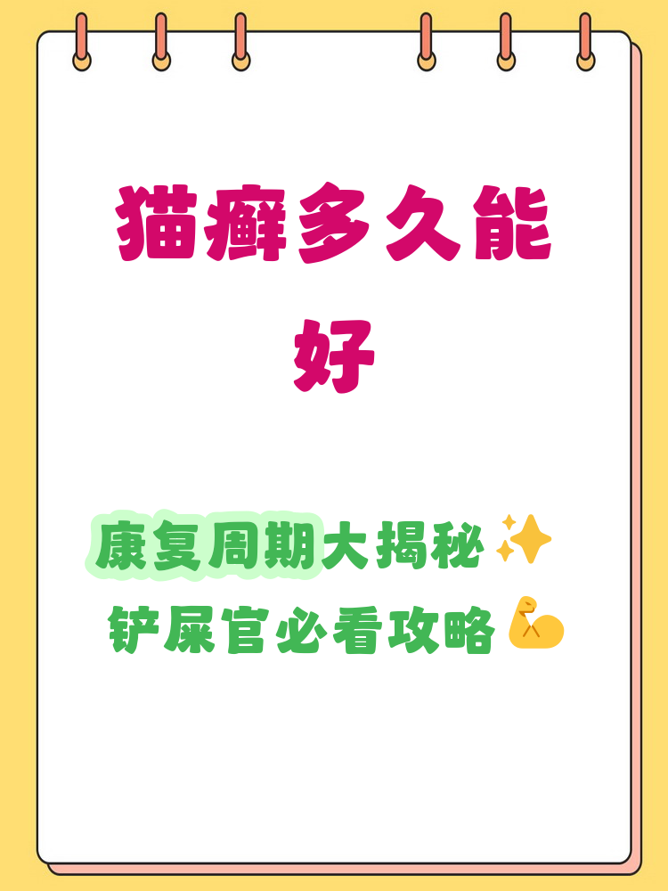 猫癣多久才会好(猫身上的猫癣怎么治好得快)