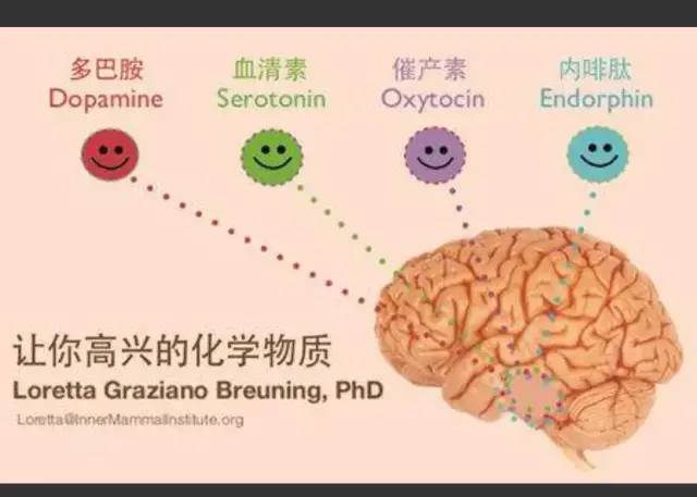 多巴胺爱情理论(多巴胺在爱情里代表什么) 多巴胺爱情理论(多巴胺在爱情里代表什么)