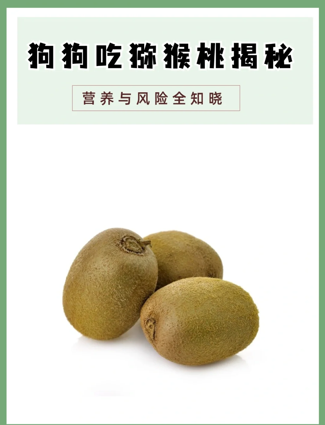 狗狗能吃油桃吗(狗狗能吃油桃吗?) 狗狗能吃油桃吗(狗狗能吃油桃吗?)