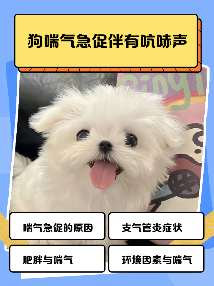 狗狗嗓子里吭哧吭哧声(狗狗嗓子发出吭吭声音是啥意思) 狗狗嗓子里吭哧吭哧声(狗狗嗓子发出吭吭声音是啥意思)