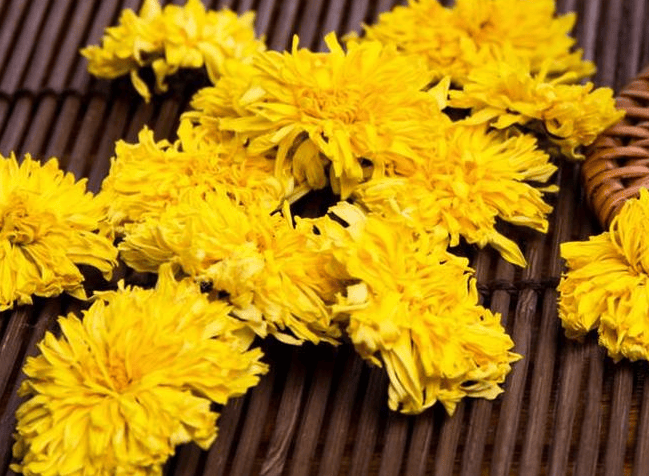 怀菊(怀菊花产地在哪里) 怀菊(怀菊花产地在哪里)