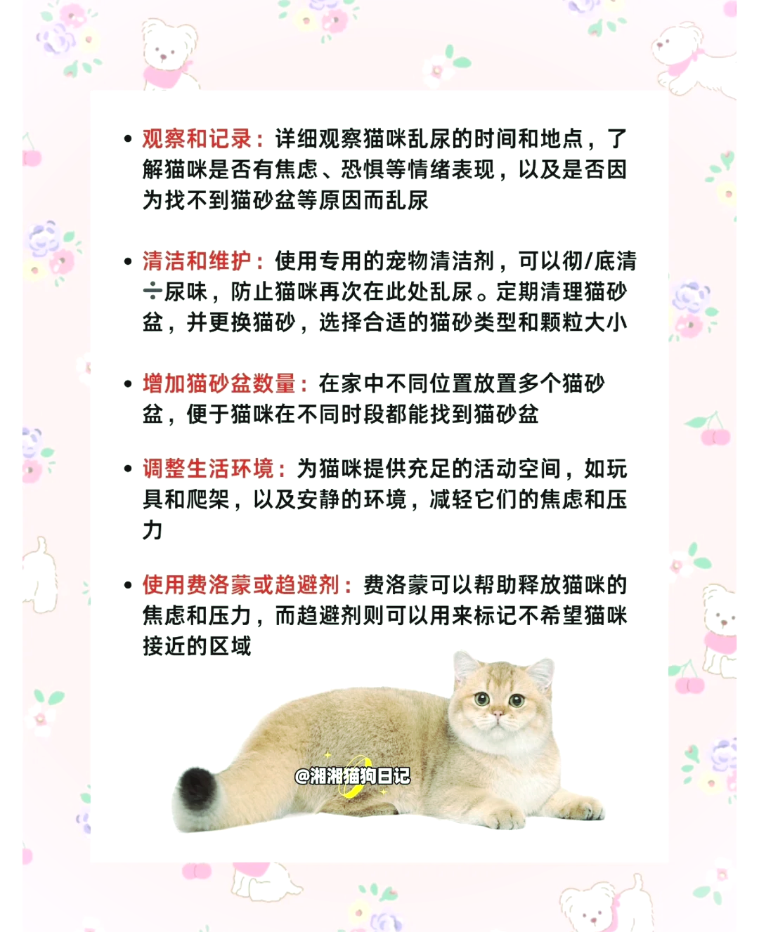 小猫在床上拉尿什么原因(小猫在床上拉尿什么原因怎么治疗) 小猫在床上拉尿什么原因(小猫在床上拉尿什么原因怎么治疗)