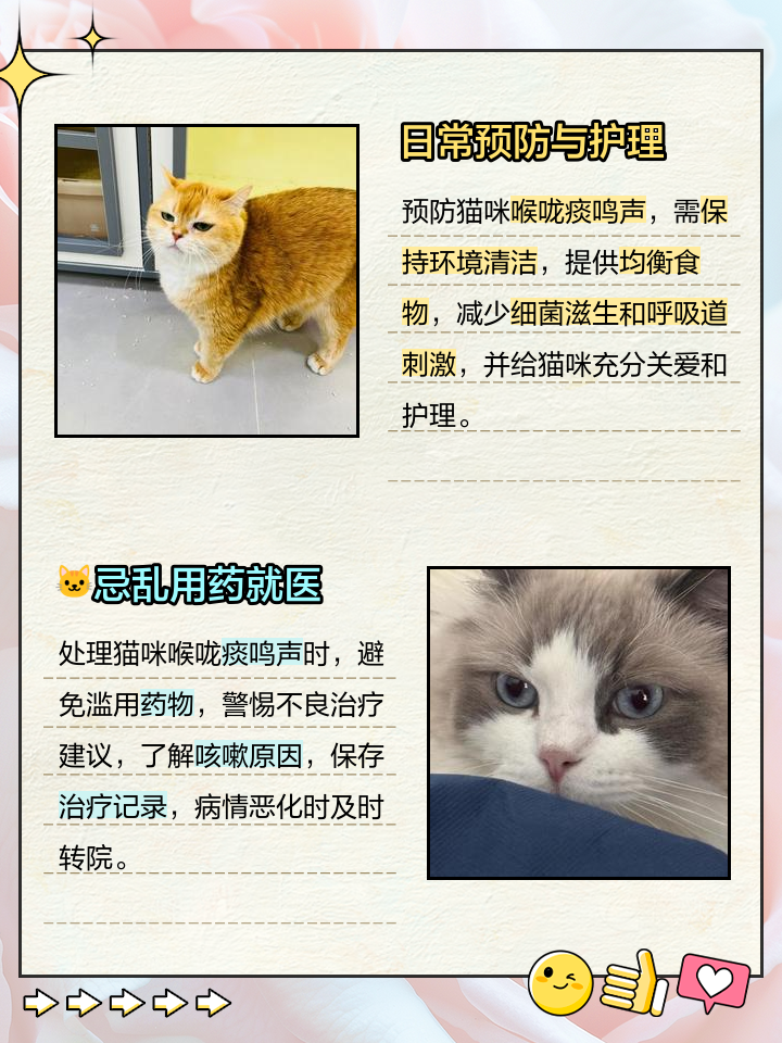 猫咪呼吸声像有痰呼噜(猫咪呼吸声像有痰呼噜正常吗) 猫咪呼吸声像有痰呼噜(猫咪呼吸声像有痰呼噜正常吗)