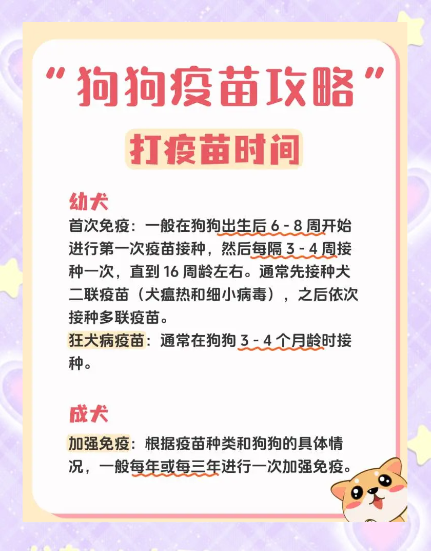 狗狗狂犬疫苗在哪里打(给狗狗打狂犬疫苗在哪里打?) 狗狗狂犬疫苗在哪里打(给狗狗打狂犬疫苗在哪里打?)