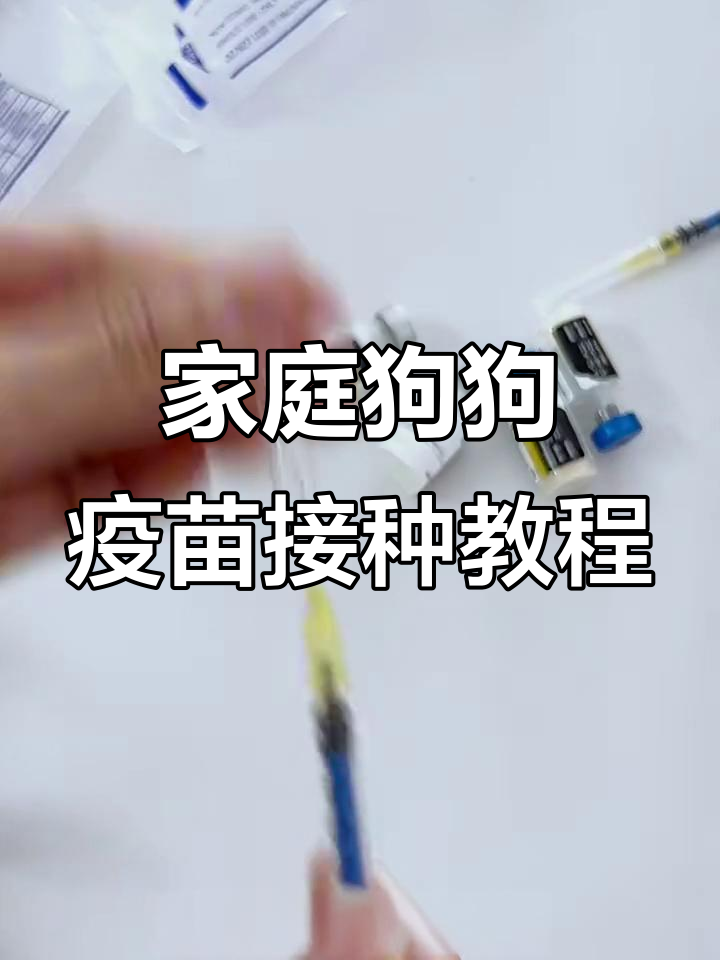 狗狗狂犬疫苗在哪里打(给狗狗打狂犬疫苗在哪里打?) 狗狗狂犬疫苗在哪里打(给狗狗打狂犬疫苗在哪里打?)