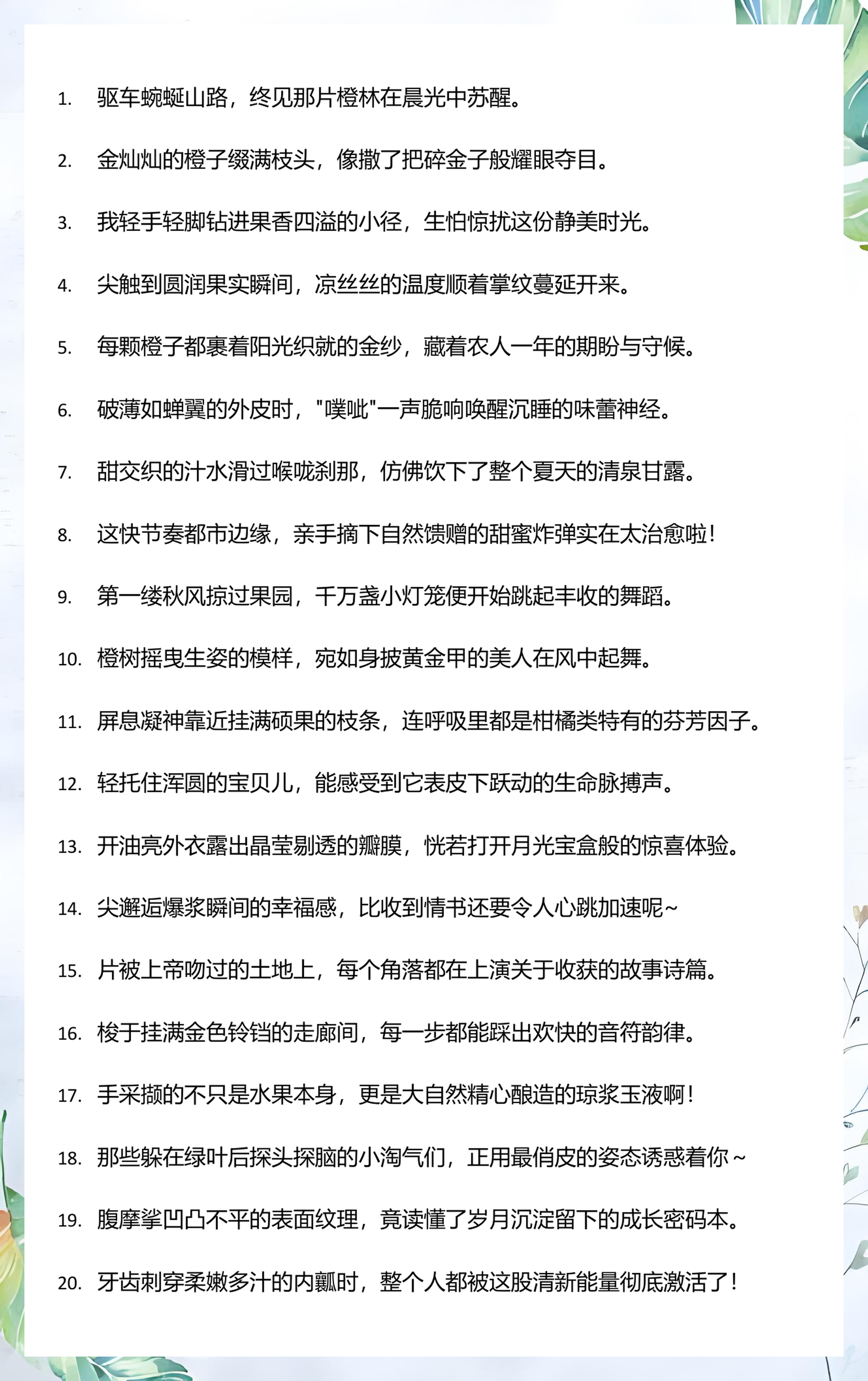带孩子体验采摘的句子(带孩子体验采摘的乐趣,满载而归) 带孩子体验采摘的句子(带孩子体验采摘的乐趣,满载而归)