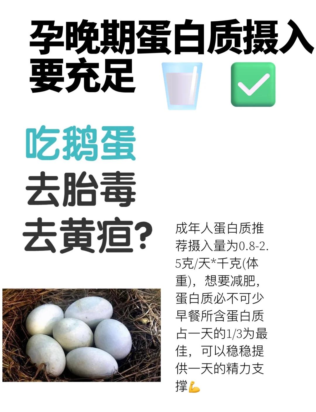 蒲公英煮鹅蛋的功效与禁忌(蒲公英煮鹅蛋的功效与禁忌是什么)