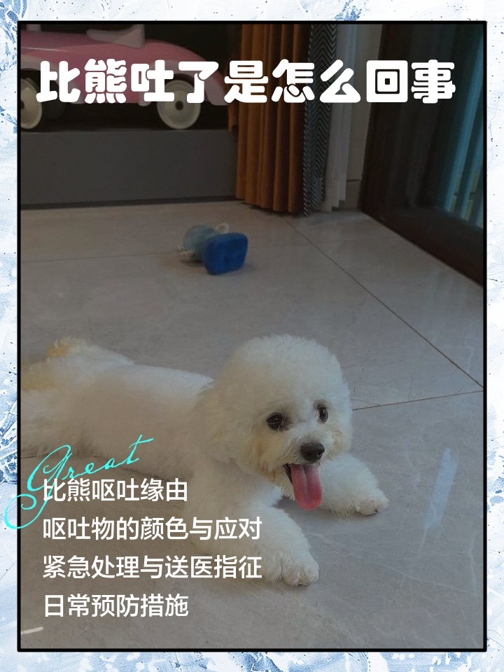 狗狗干呕伴随咔咔声但精神很好(狗狗干呕伴随咔咔声但精神很好正常吗) 狗狗干呕伴随咔咔声但精神很好(狗狗干呕伴随咔咔声但精神很好正常吗)