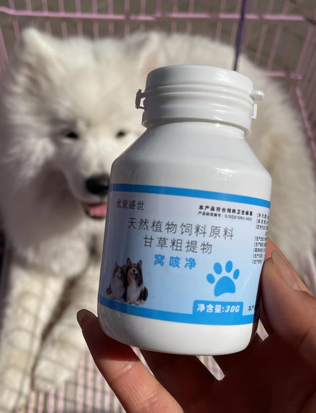 狗狗干呕伴随咔咔声但精神很好(狗狗干呕伴随咔咔声但精神很好正常吗) 狗狗干呕伴随咔咔声但精神很好(狗狗干呕伴随咔咔声但精神很好正常吗)