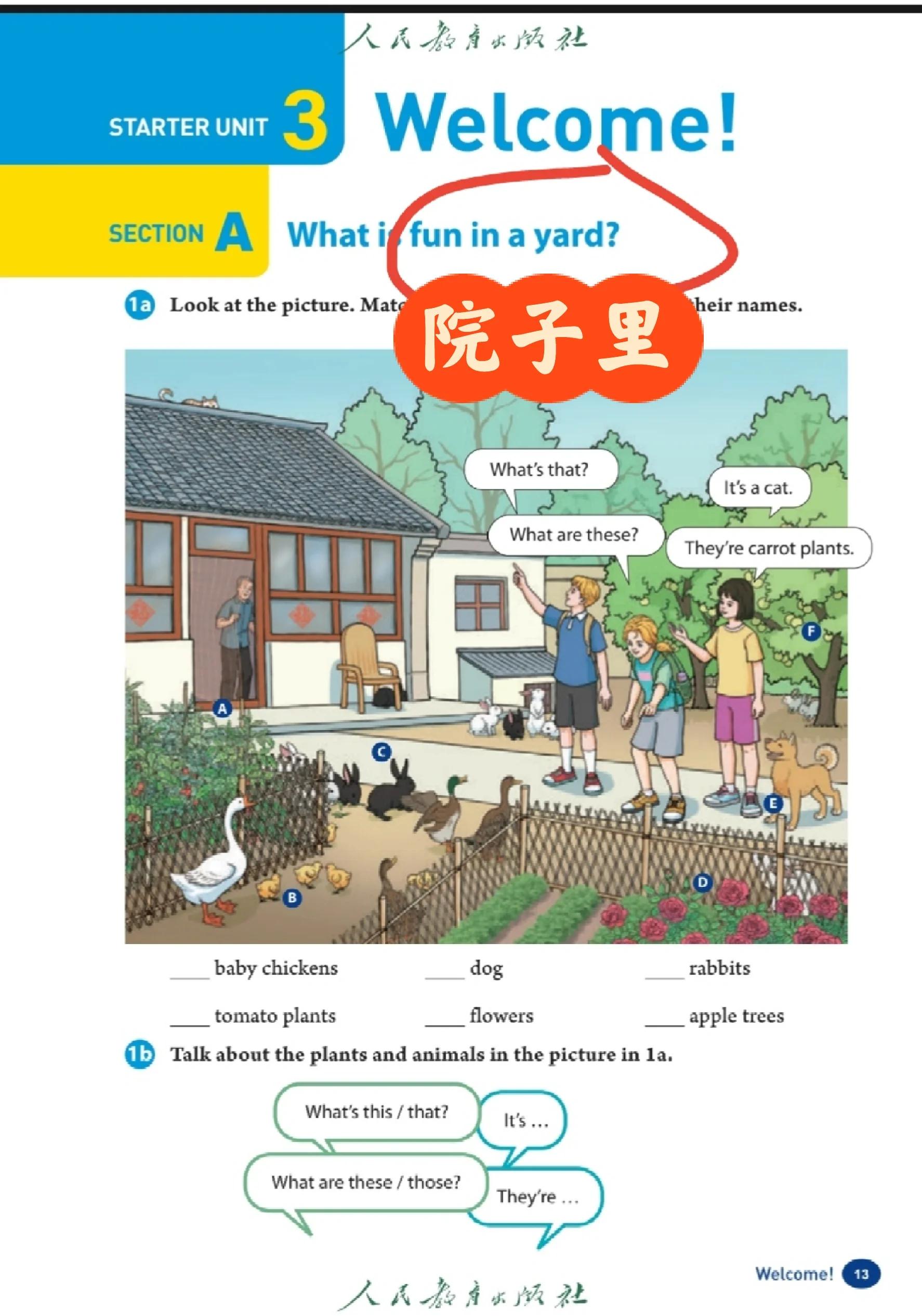 park是什么意思英语(park是什么意思英语翻译成中文)