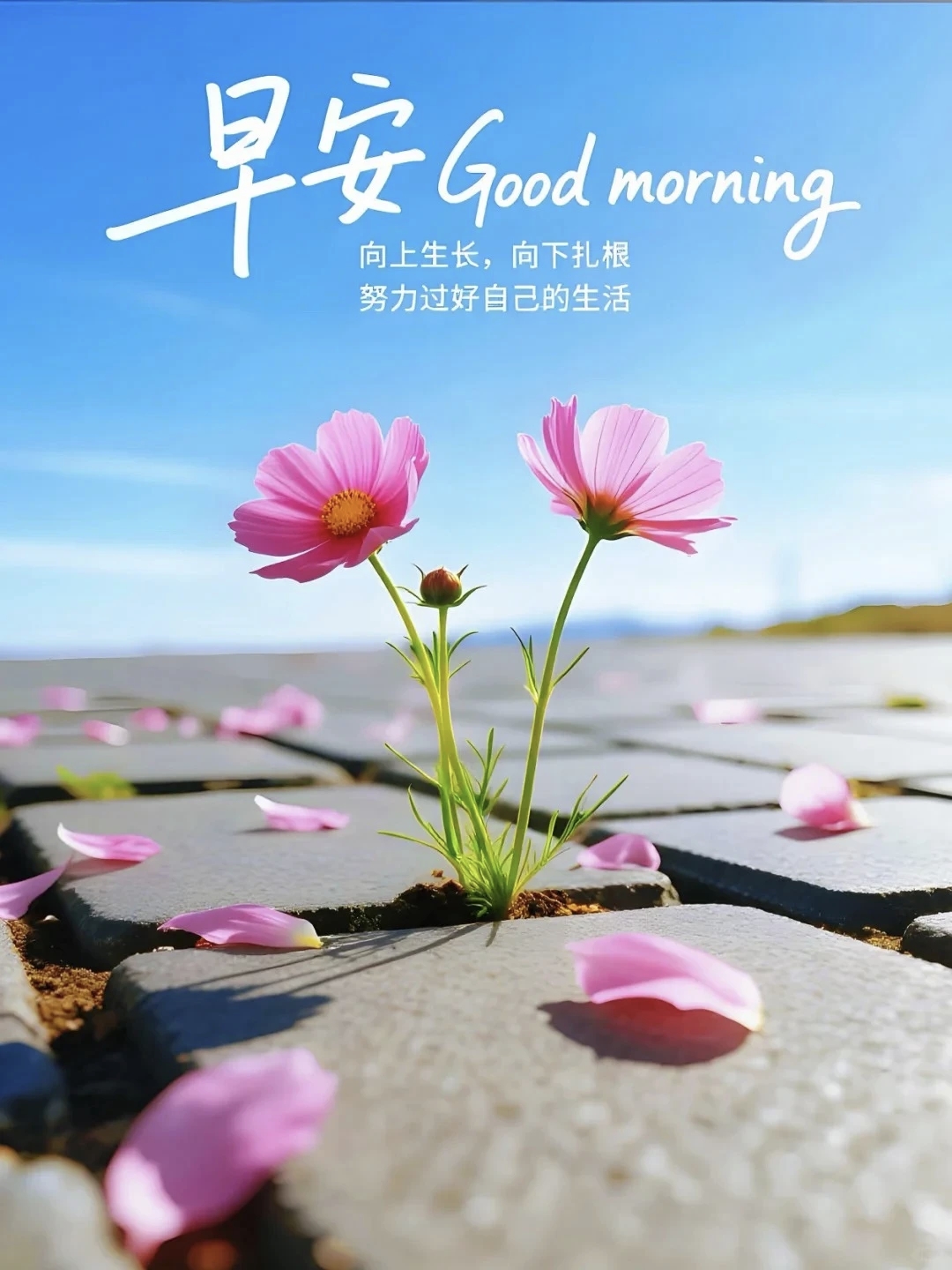每天重复着同样的生活的句子(每天重复着同样的生活的句子有意义) 每天重复着同样的生活的句子(每天重复着同样的生活的句子有意义)