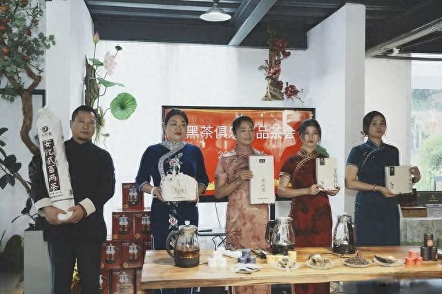 合肥品茶(合肥品茶安排)
