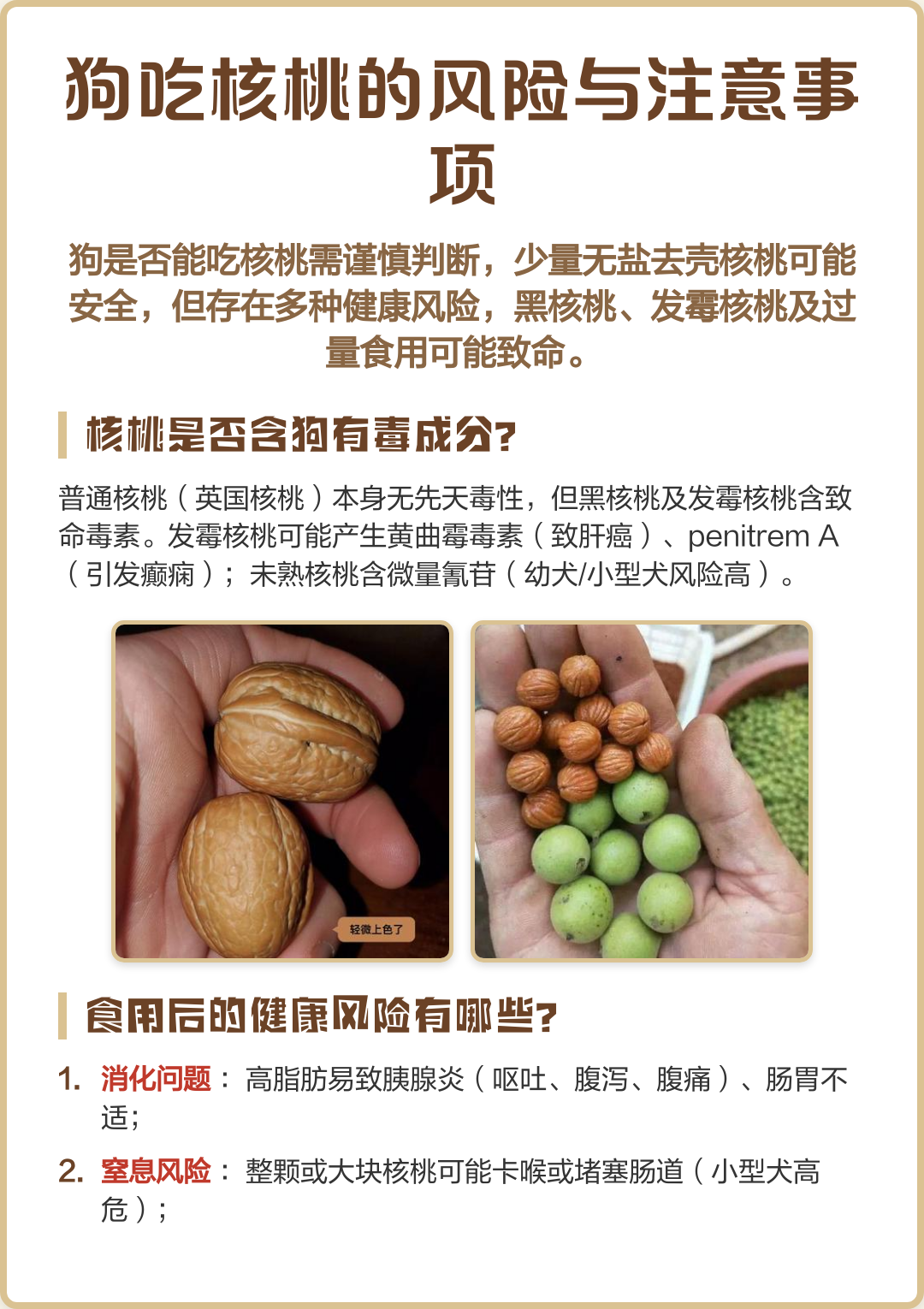 狗狗可以吃核桃仁吗?(狗狗可以吃核桃仁吗有营养吗) 狗狗可以吃核桃仁吗?(狗狗可以吃核桃仁吗有营养吗)