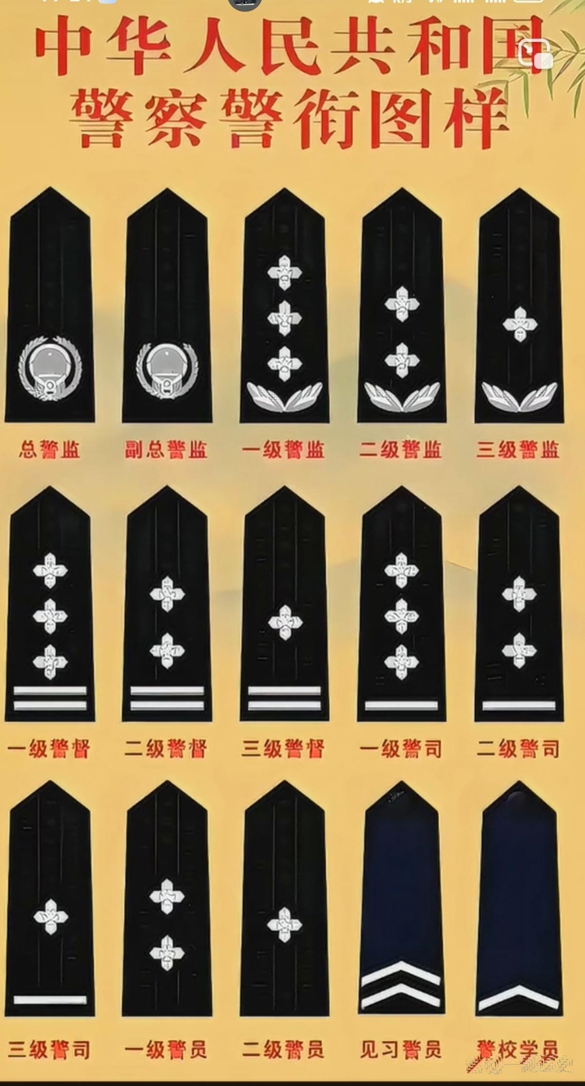 警察军衔等级肩章(警察的军衔是什么样子的)