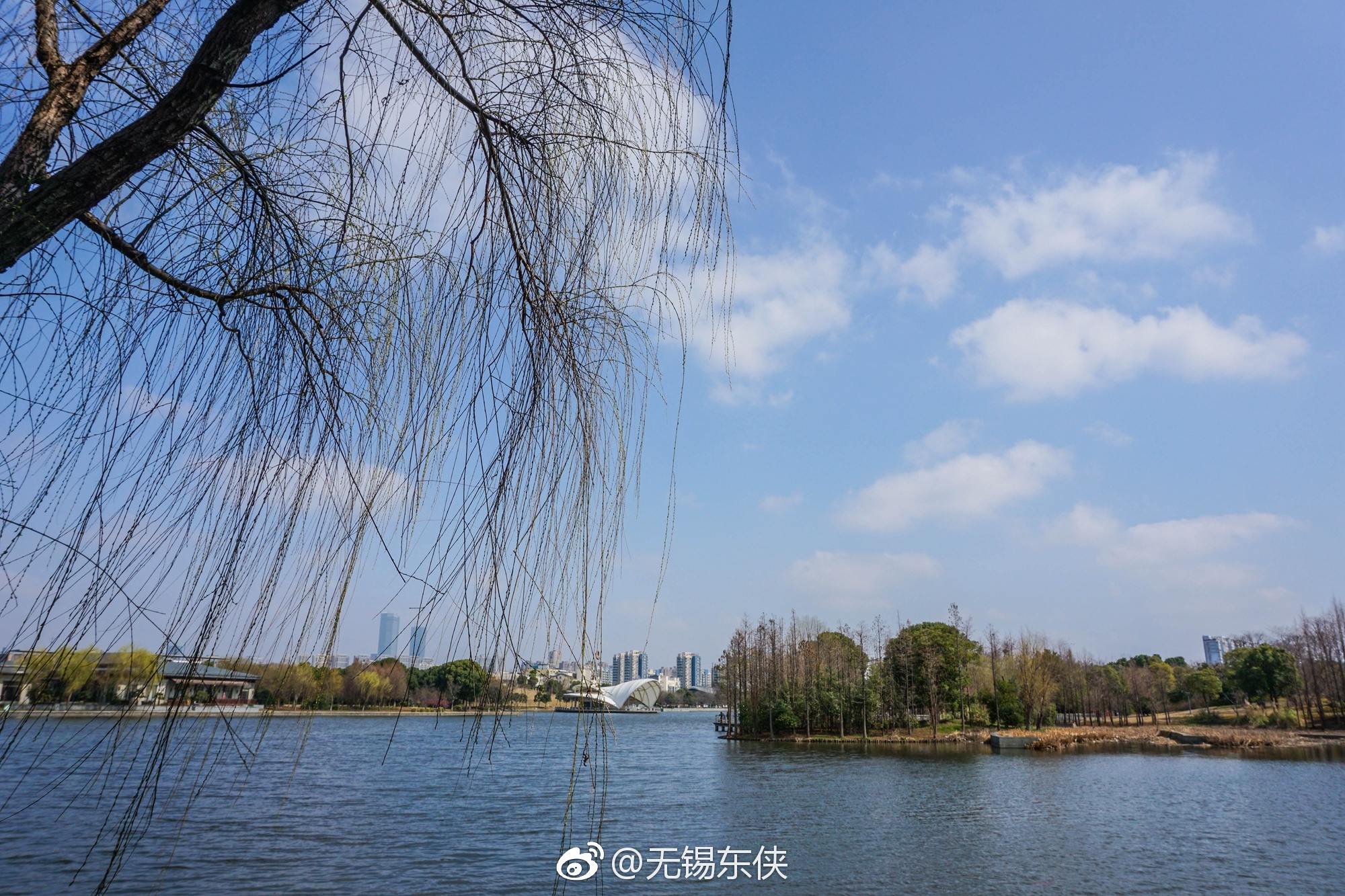 柳条将舒未舒柔梢披风翻译(柳条将舒未舒柔梢披风原文翻译) 柳条将舒未舒柔梢披风翻译(柳条将舒未舒柔梢披风原文翻译)