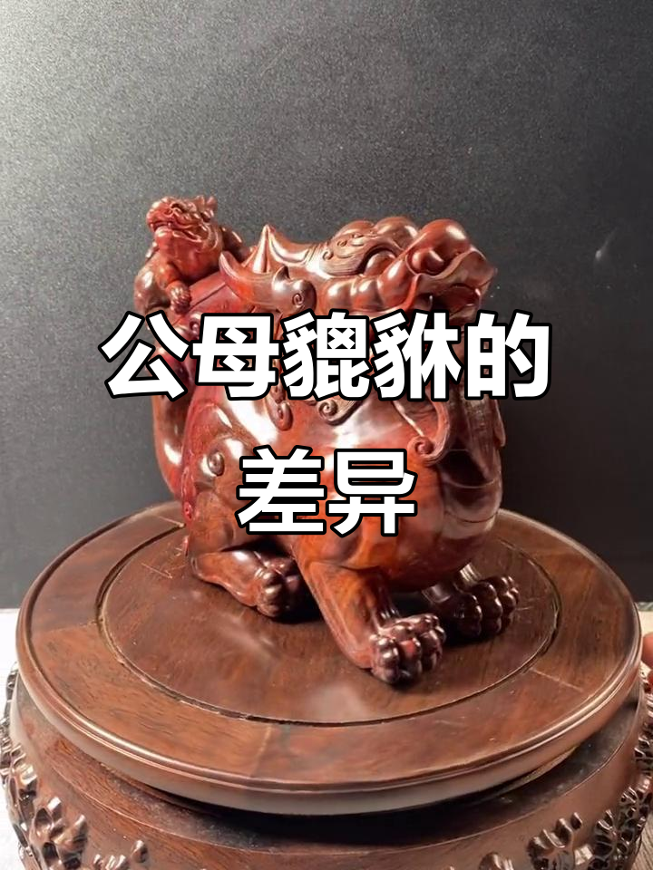 貔貅拼音怎么读音(貔貅拼音怎么读音组词) 貔貅拼音怎么读音(貔貅拼音怎么读音组词)