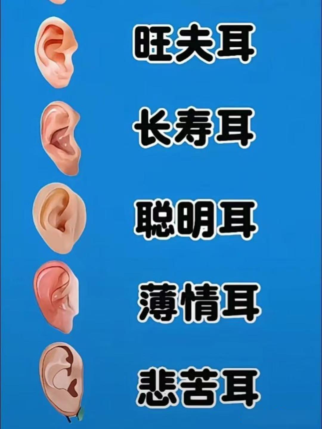 耳垂薄的女人旺夫(耳垂薄的人是不是命苦) 耳垂薄的女人旺夫(耳垂薄的人是不是命苦)
