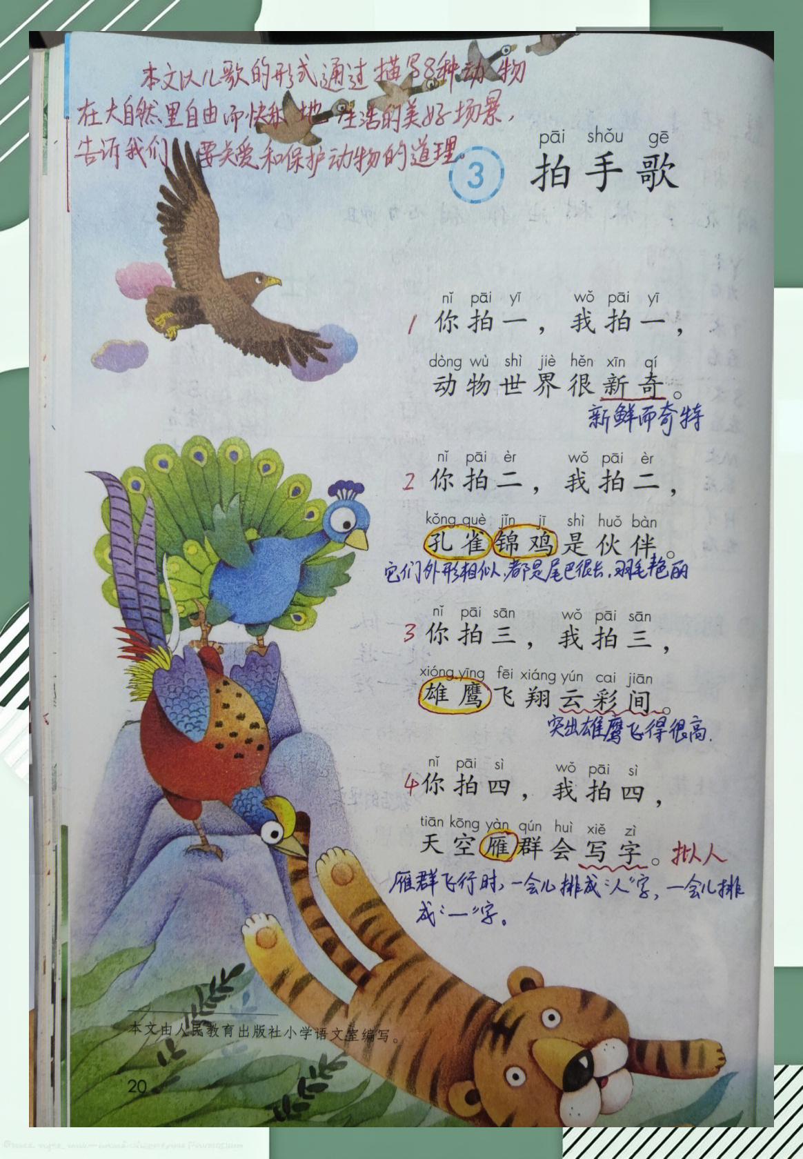啾的拼音(虫鸣啁啾的拼音) 啾的拼音(虫鸣啁啾的拼音)