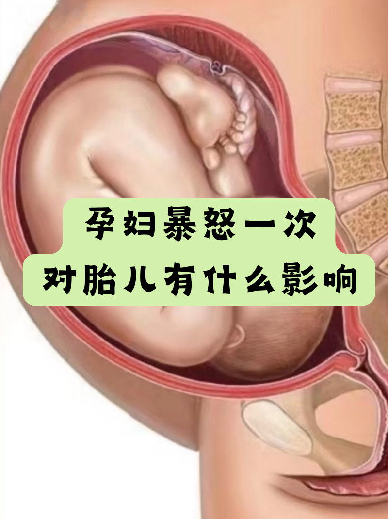 孕妇喝绿茶对胎儿有影响吗(孕妇喝绿茶会导致胎儿畸形吗) 孕妇喝绿茶对胎儿有影响吗(孕妇喝绿茶会导致胎儿畸形吗)