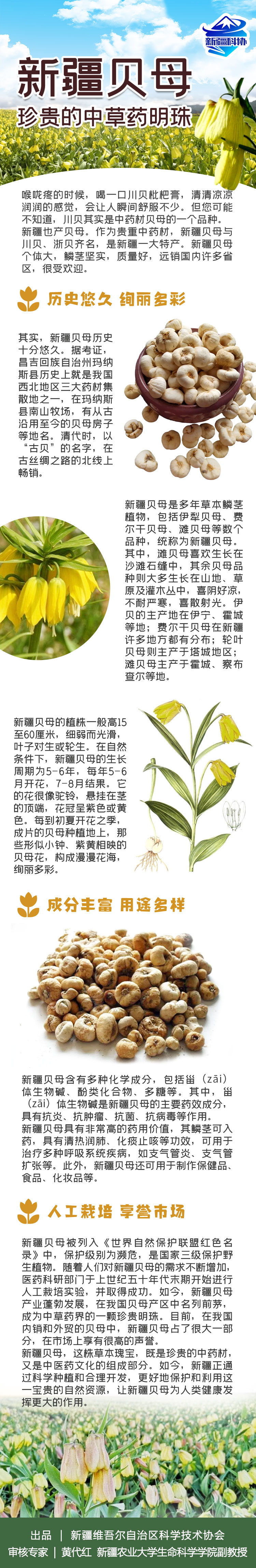 白贝母的寓意及象征(白贝母是什么材质 保值吗) 白贝母的寓意及象征(白贝母是什么材质 保值吗)