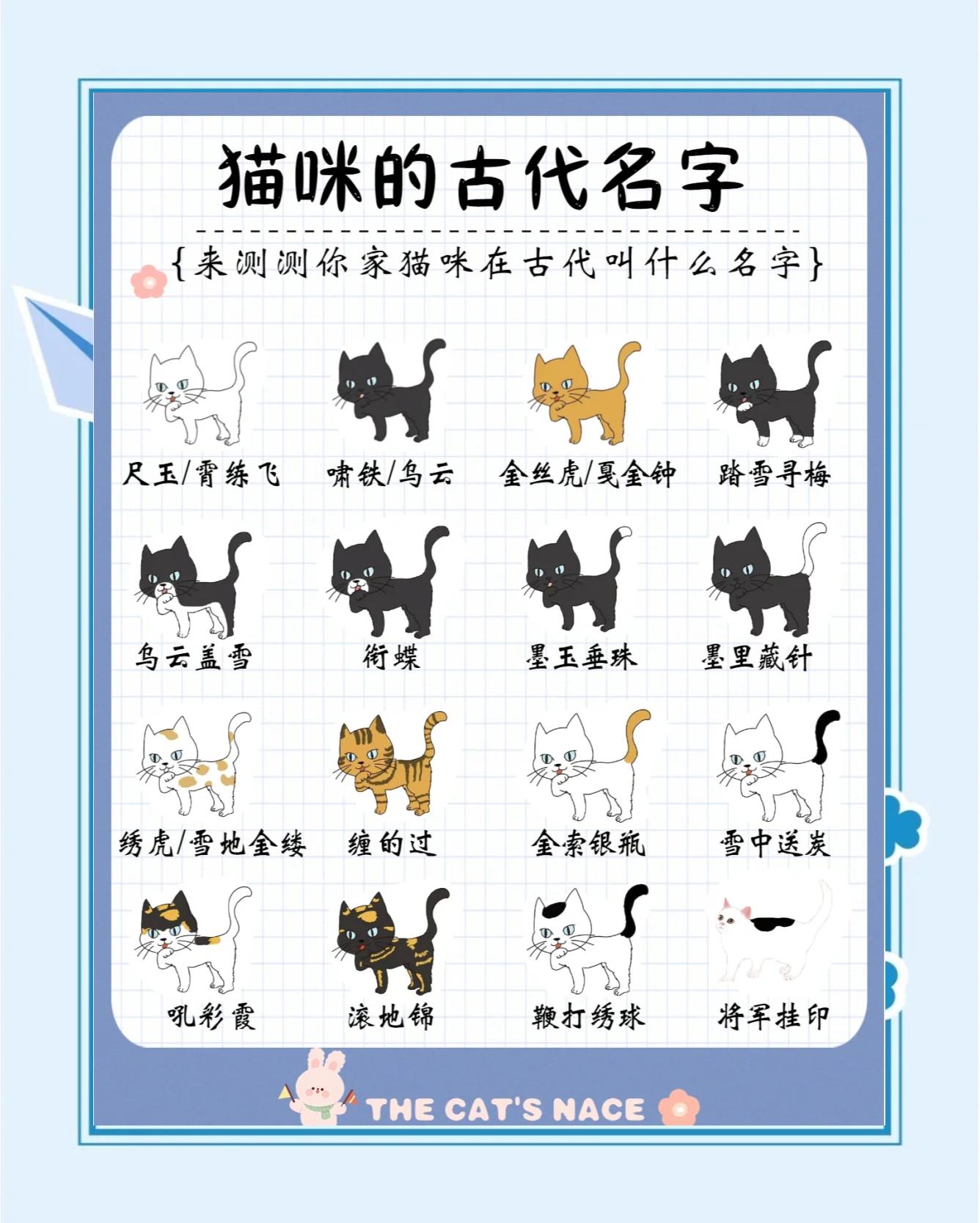 四大风水名猫是什么(四大风水名猫是什么动物) 四大风水名猫是什么(四大风水名猫是什么动物)