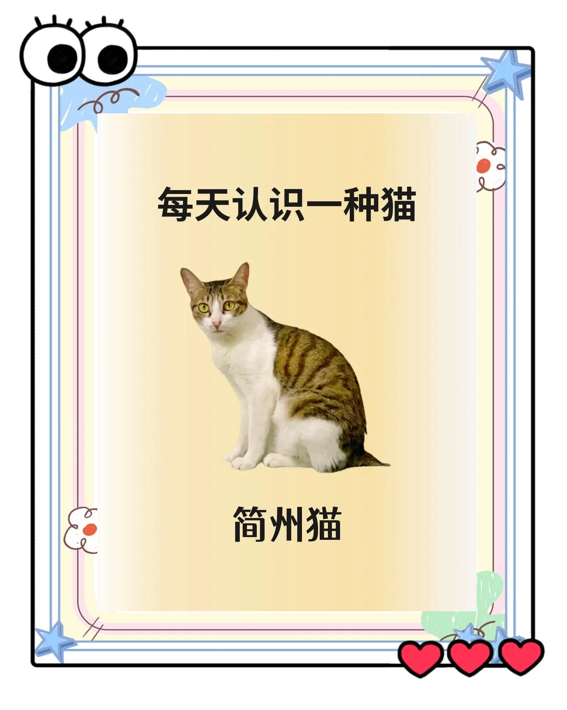 四大风水名猫是什么(四大风水名猫是什么动物) 四大风水名猫是什么(四大风水名猫是什么动物)