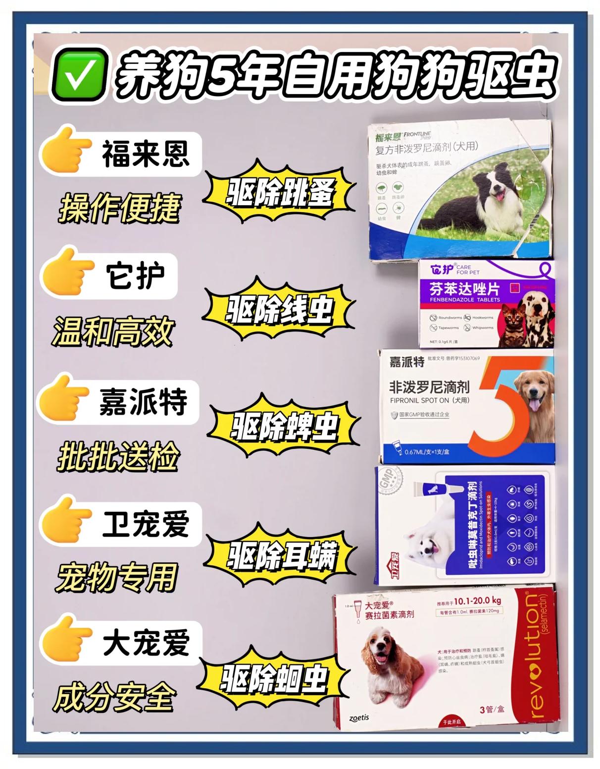 狗狗拉虫子又细又长吃什么药(狗狗拉虫子又细又长吃什么药管用) 狗狗拉虫子又细又长吃什么药(狗狗拉虫子又细又长吃什么药管用)