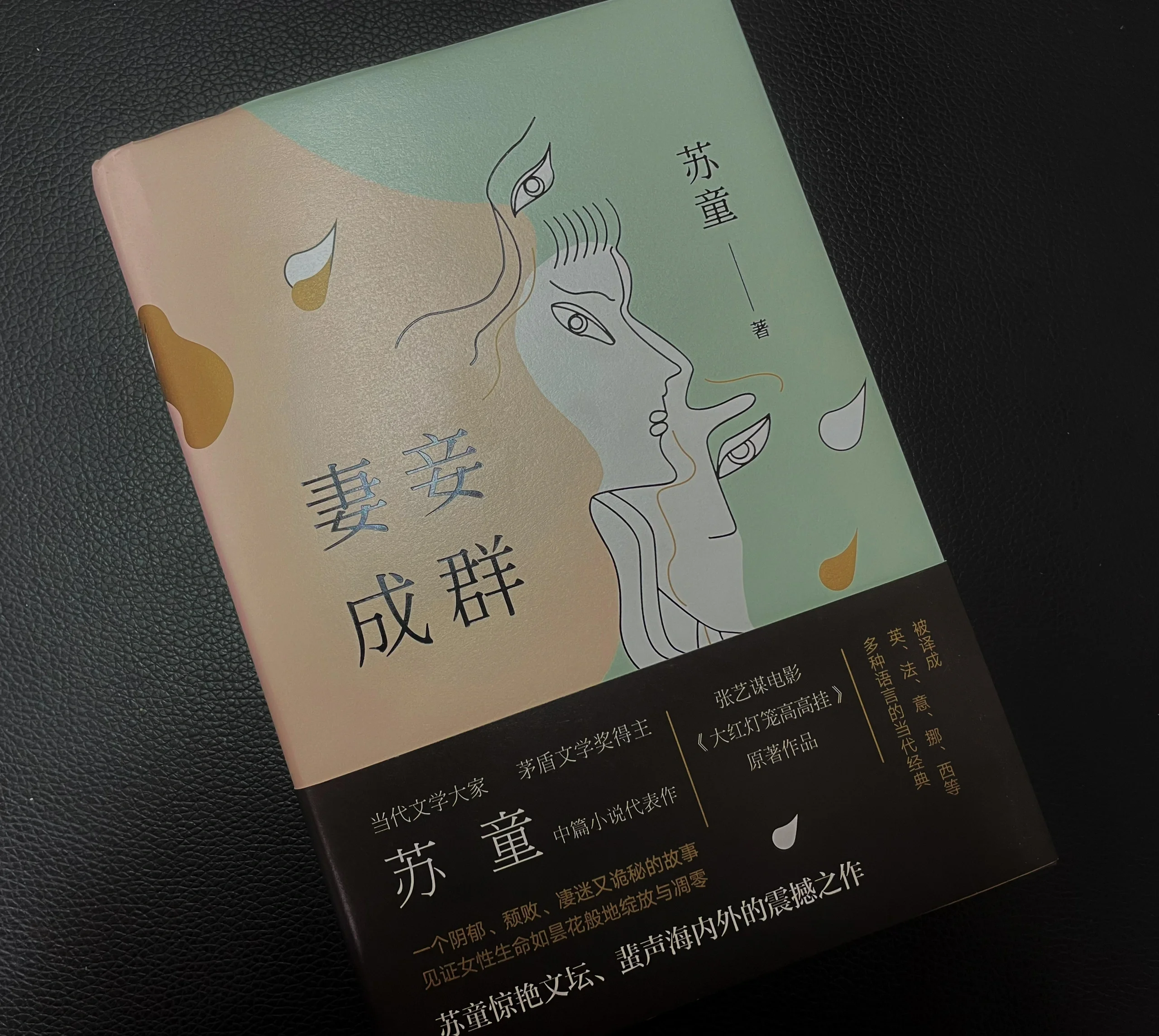 小琴小丹四女一夫小说(我入赘小山村小琴小丹的结局)